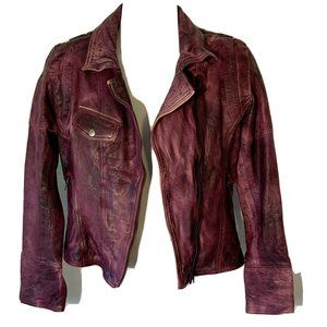 NWT Sold Out Import Joe Browns Purple Distressed